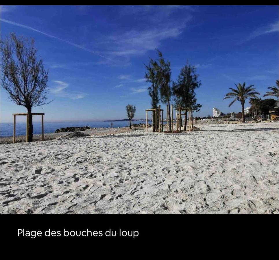 Loft Marina Direct Plage Leilighet Villeneuve-Loubet Eksteriør bilde